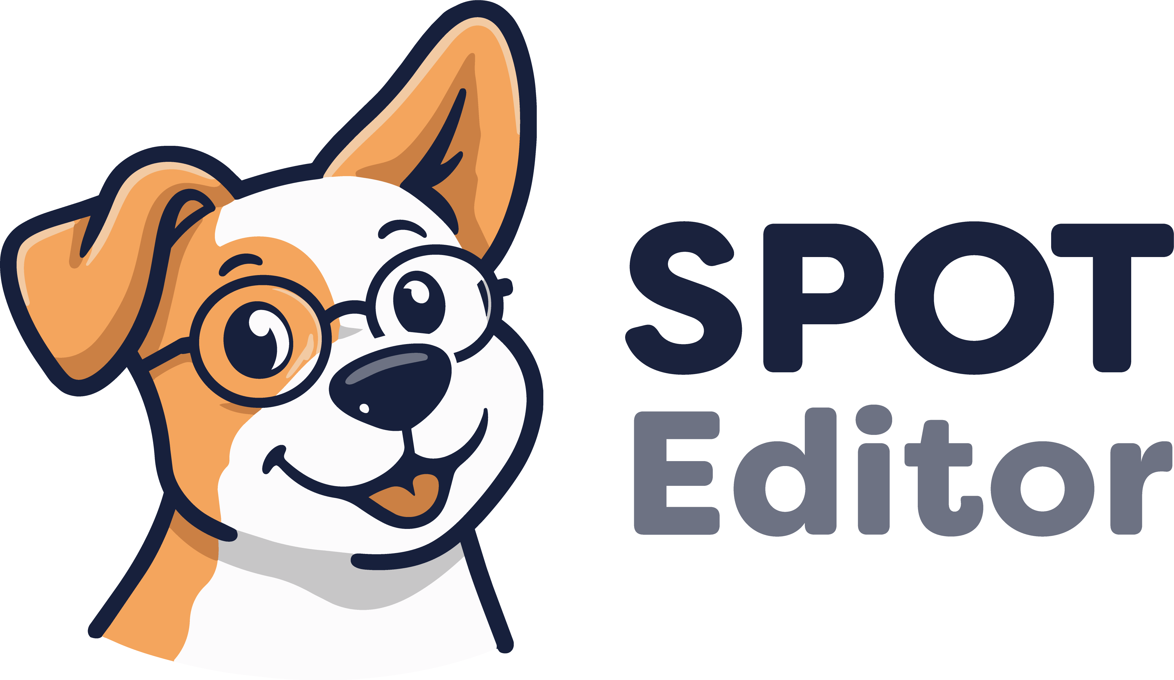 SPOT Editor logo